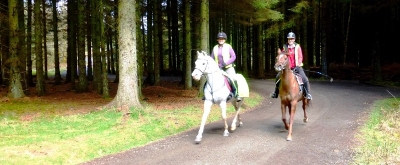 Horseriding Banner Horseriding Banner