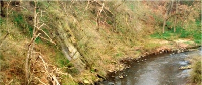 10 Almondell and Calderwood Country Park 10 Almondell and Calderwood Country Park