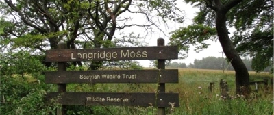 49 Longridge Moss west of Stoneyburn in the Breich Valley 49 Longridge Moss west of Stoneyburn in the Breich Valley