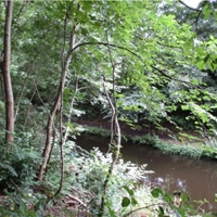 12 Union Canal in Winchburgh