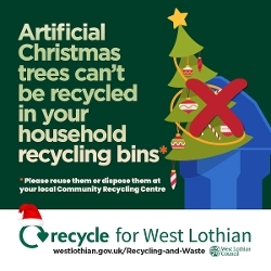 An image relating to I only have a blue bin