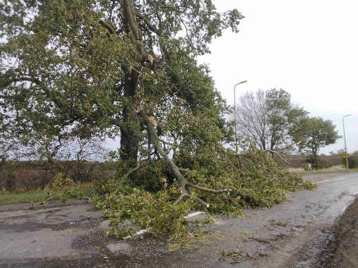 An image relating to Storm Amy response