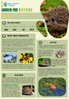 Tenants Leaflet - Image 1